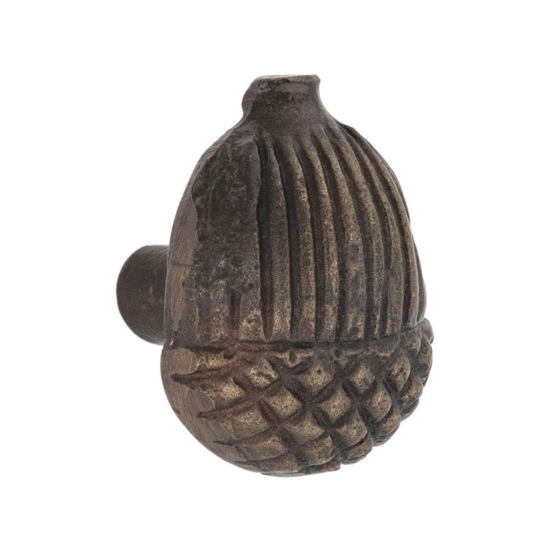 Oak Nut Knob