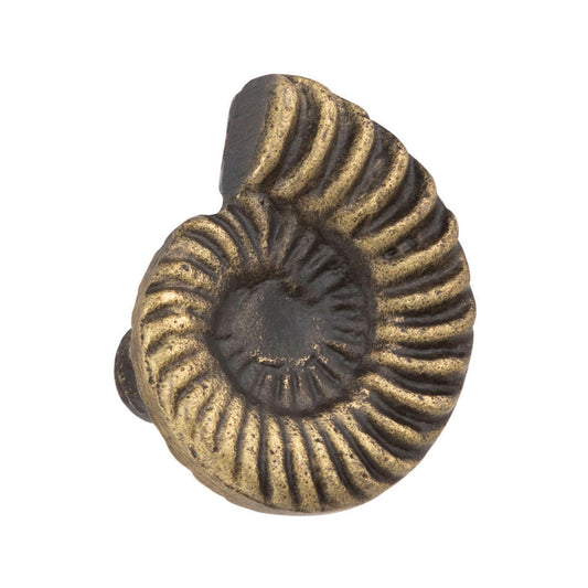 Shell Knob